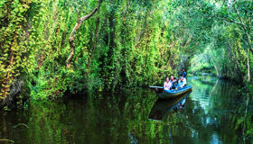 Begin your visa-prepared day with Vietnam’s tranquil ambiance